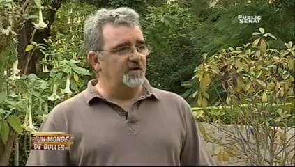 Un monde de bulles : Spéciale Festival d'Ajaccio