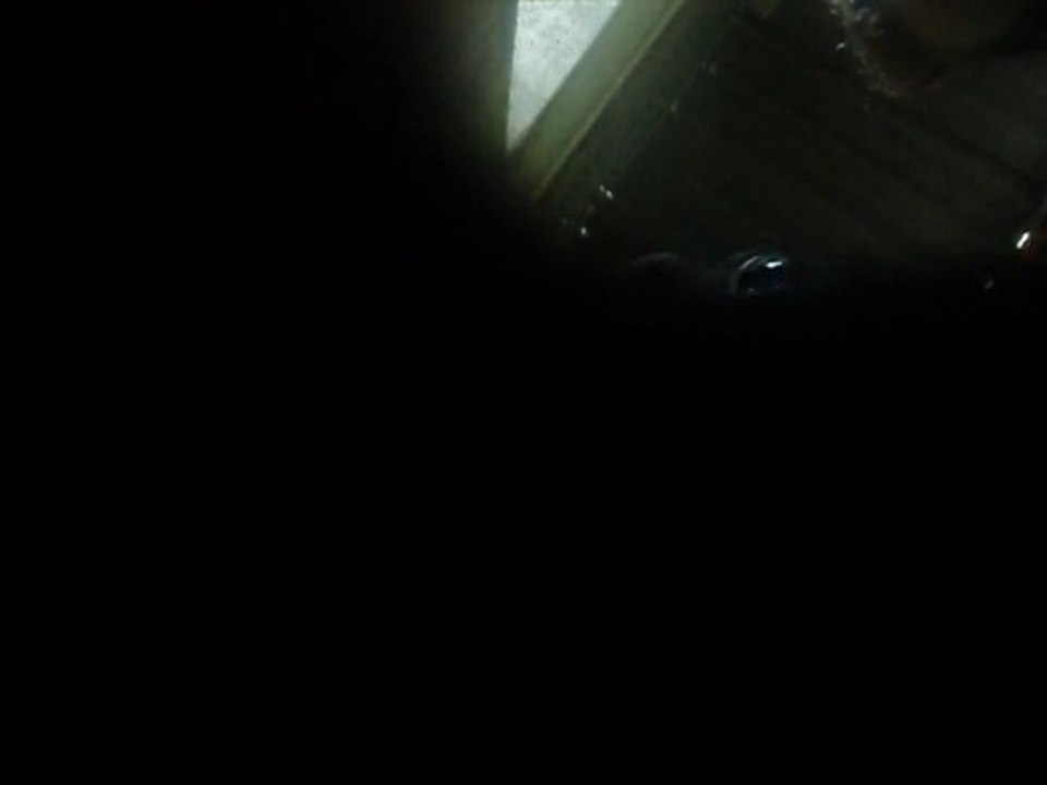 T quiero aime les appareil photo