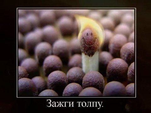 Бизнес Система Владимира