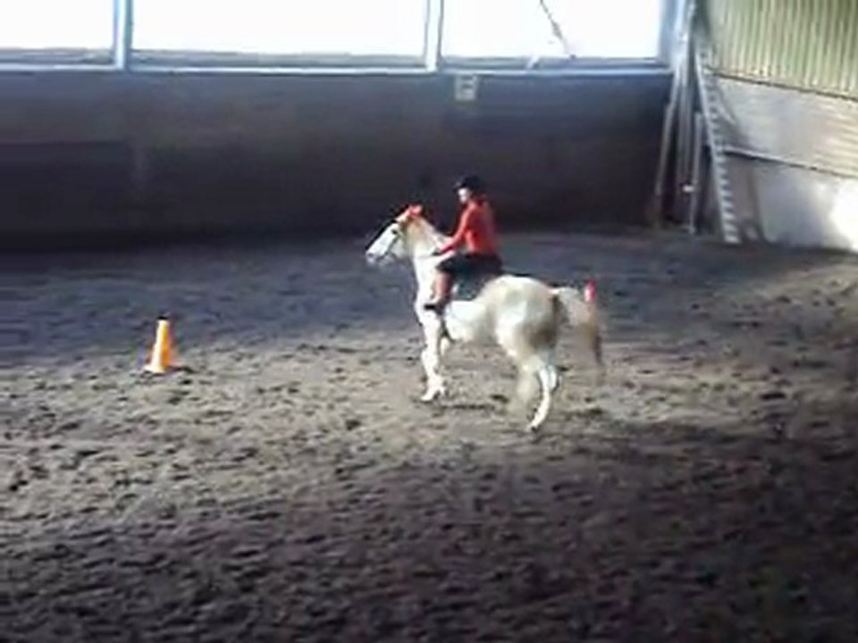 Jeux halloween a cheval