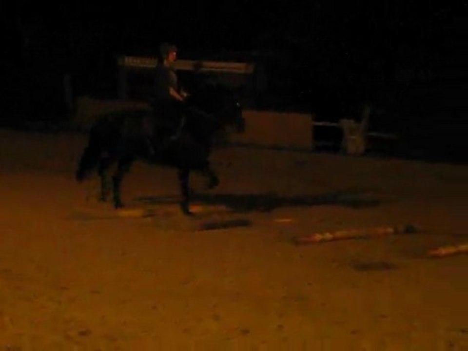 Barres au sol au trot