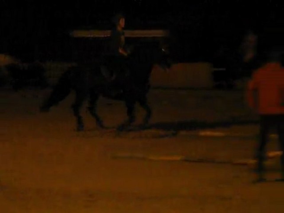 Obstacle isolé régularité galop