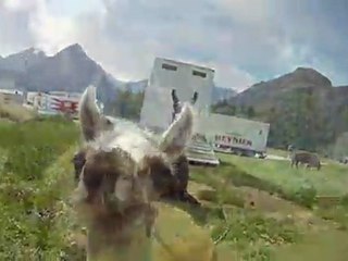 2 alpes