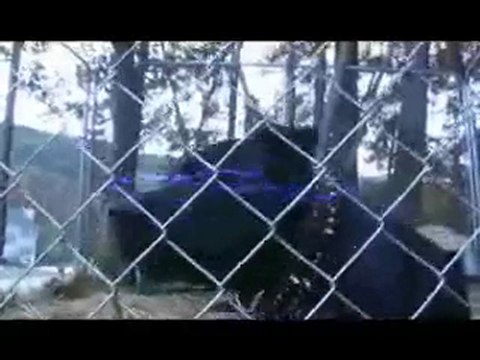 Gangsta Advisory Presents Tha Dogg Pound Dogg Chit