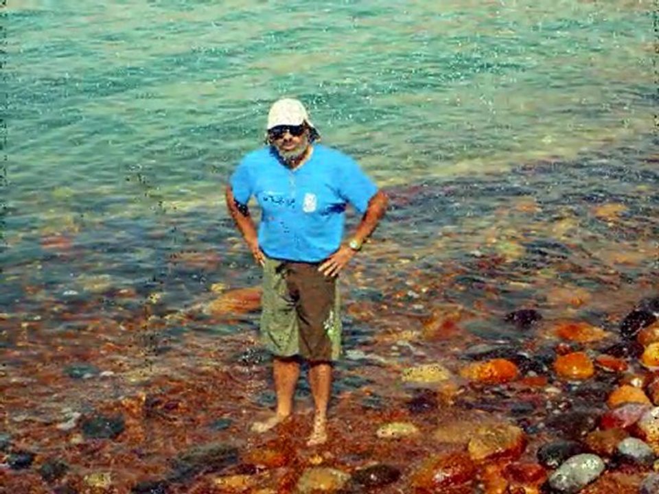 The dead sea2009