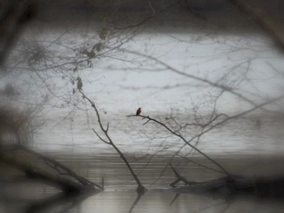 Lumières d'un Bonheur 3