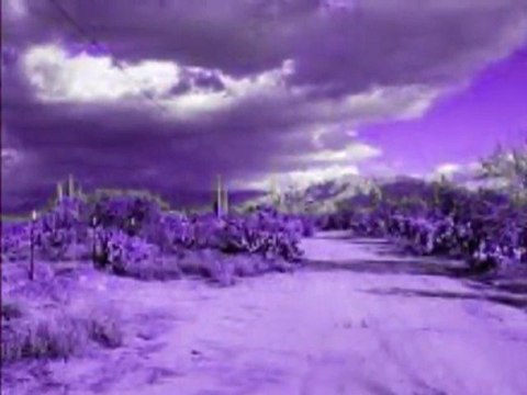 200 miles of road (Face Full Of Fist / 200 Miles Of Road EP)