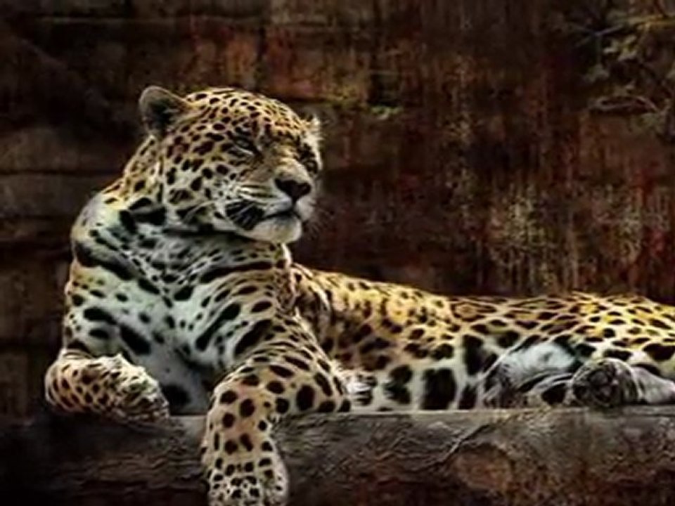 Jambo Bwana - African Music  Kenya (Mustafa Dinç)