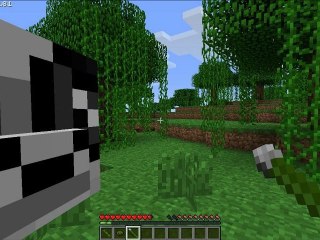 Présentation de mod : Panda Mod