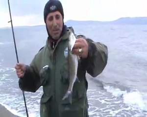 AT-ÇEK AVIMIZ