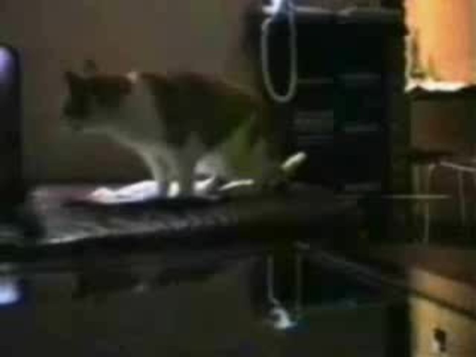 Chatsquiparlent