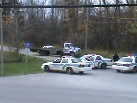 USA : La police tir 12 coups de feu sur une vache