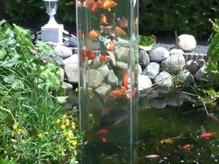 Tour d'observation pour poisson #2