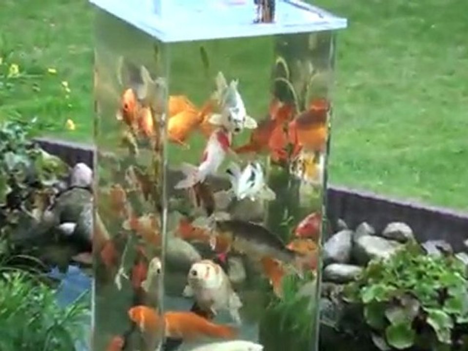 Tour d'observation pour poissons