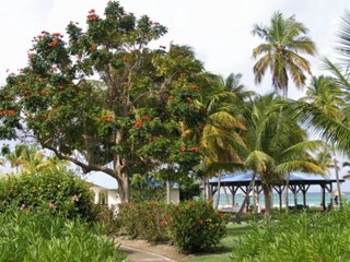 les boucaniers club med martinique 2010