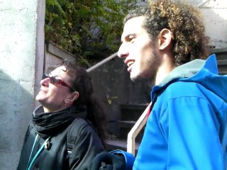 Ours blancs Zoo St Félicien