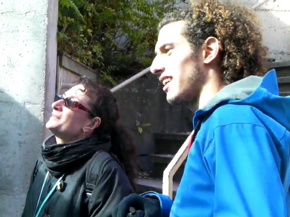 Ours blancs Zoo St Félicien