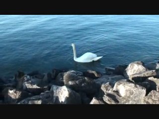 un après midi à EVIAN LES BAINS