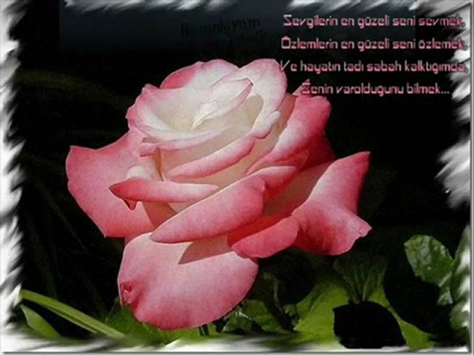 cengiz imren-vur beni