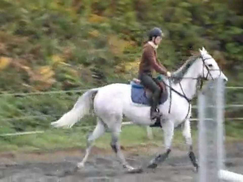 Greyloa saut 30.10.11