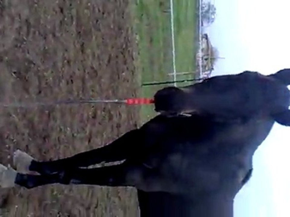 30102011116