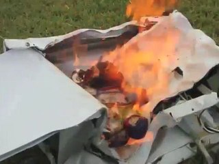 la verdura era ancora gelata