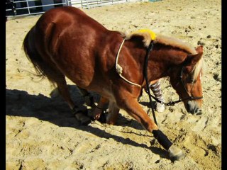 On ne peux pas empecher un coeur d'aimer .. Imprévue ♥