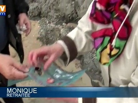 Pêche à pied dans la baie du Mont-Saint-Michel