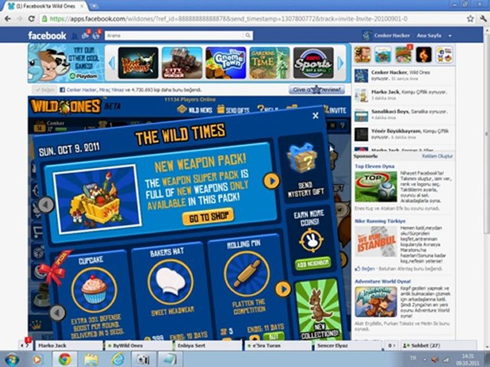 Wild Ones Stat Point Hack