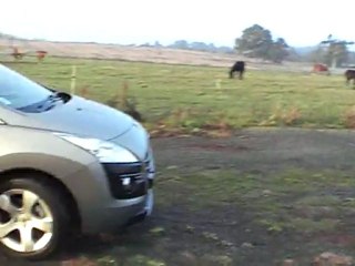 Arc-en-ciel Le Petit Beauregard