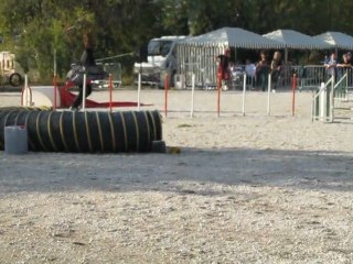 jump bambou ollioules11