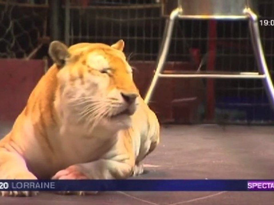 UN DIMANCHE MATIN À NANCY BY ARLETTE GRUSS