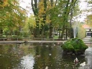 UN JOLI POINT D'EAU AVEC UNE FONTAINE MOUSSUE