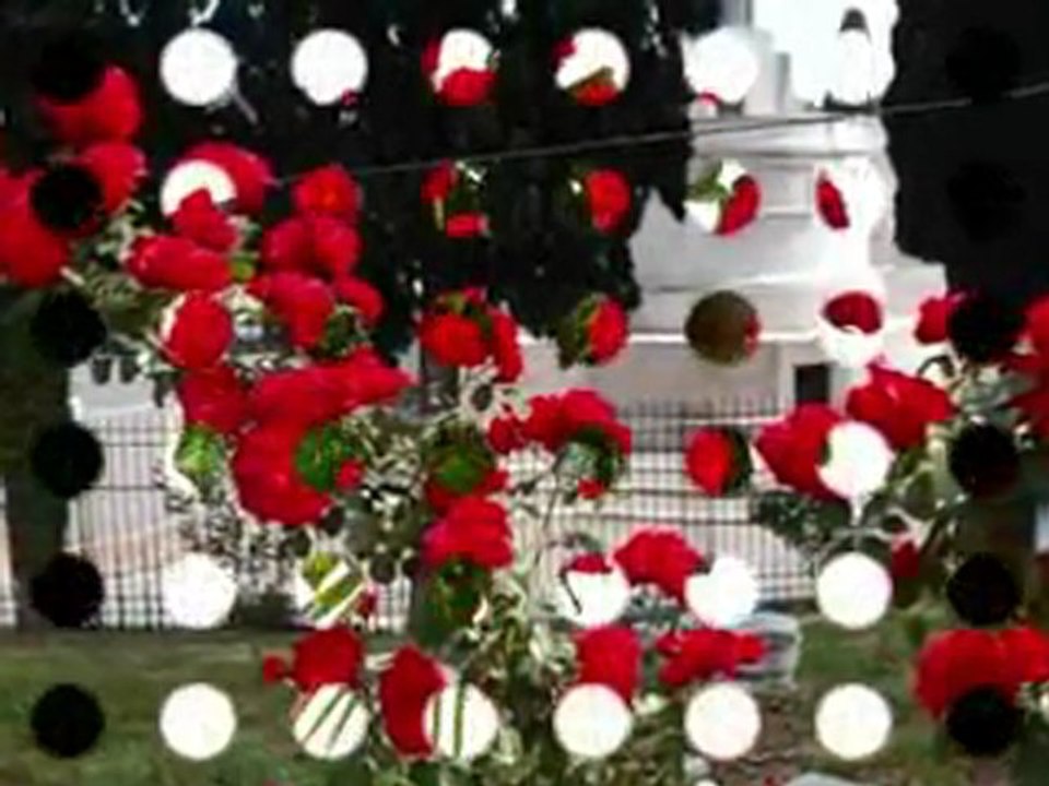 Dinlediğin o şarkı bizim şarkımız