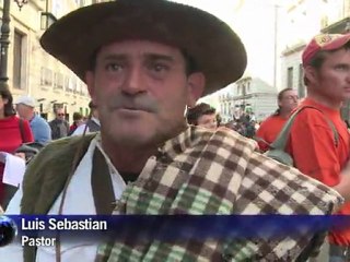 Las ovejas cruzan Madrid