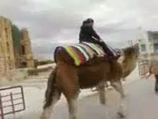 place du Colisée eljem tunisie aid elidha 2010