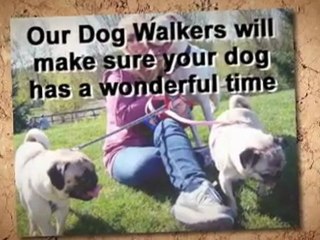 Dog Walkers Gold Coast