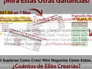 MICRO NICHOS RENTABLES 2.0 Como ganar cientos de dolares