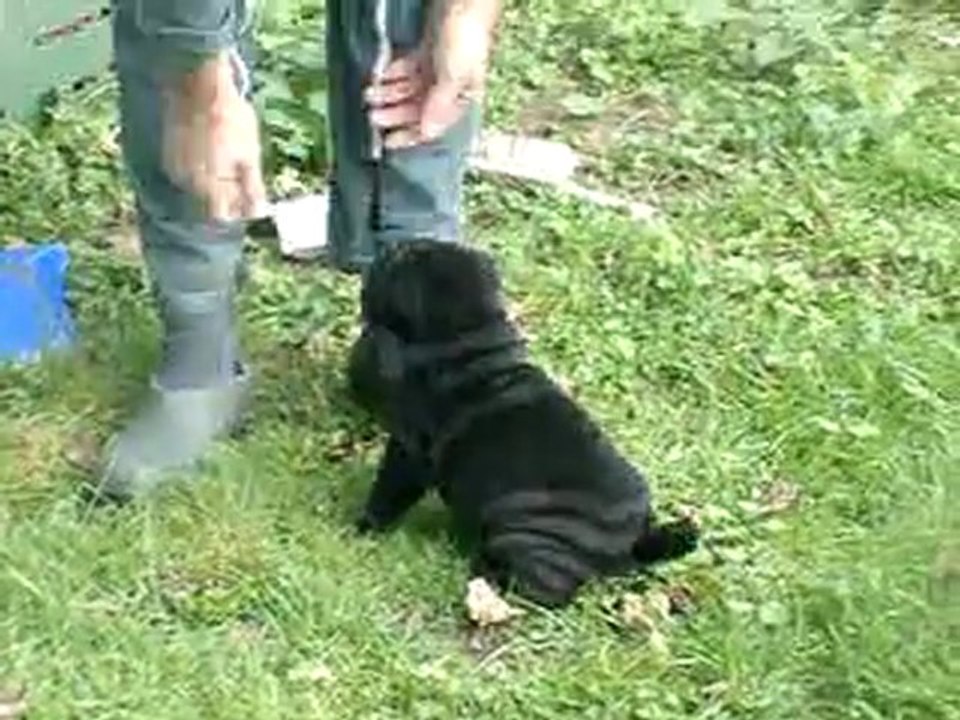 nos deux fifilles Black de Elya et Daymon