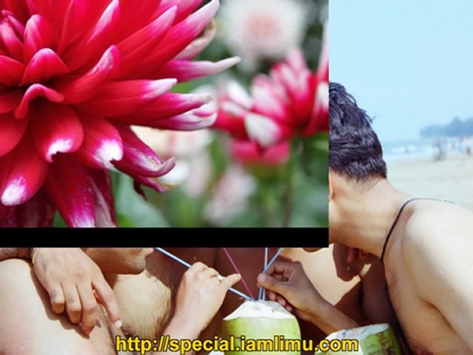 what is LIMU