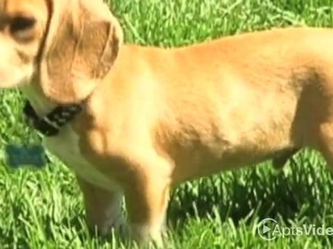 Fountain Lake Apartments in Bradenton, FL - ForRent.com