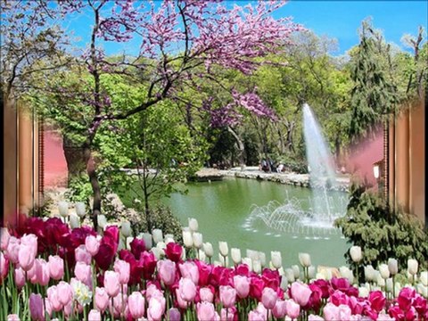 Yilmaz Sarikaya-Sefaat Ya Rasulallah(Nurşen hediye)