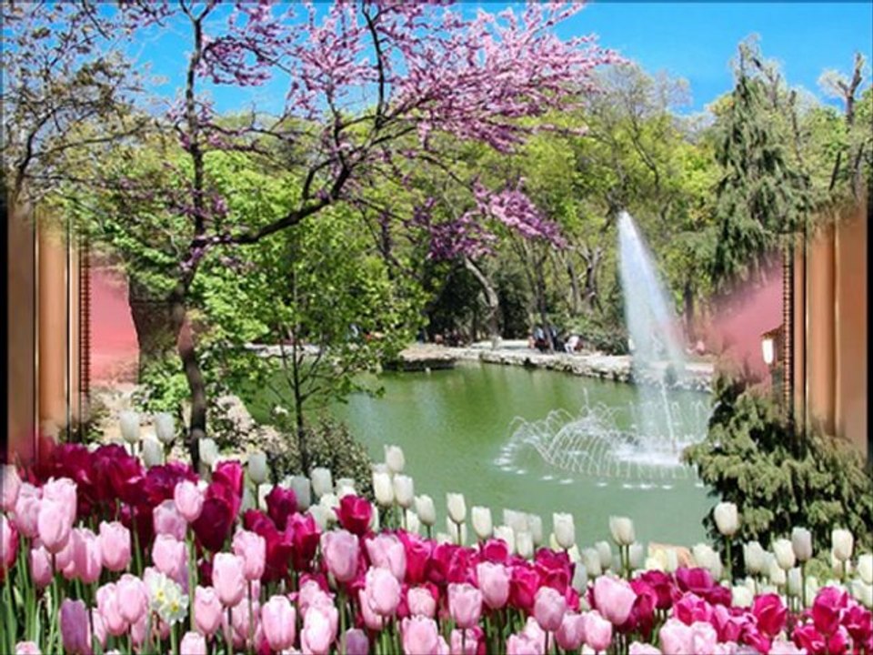 Yilmaz Sarikaya-Sefaat Ya Rasulallah(Nurşen hediye)