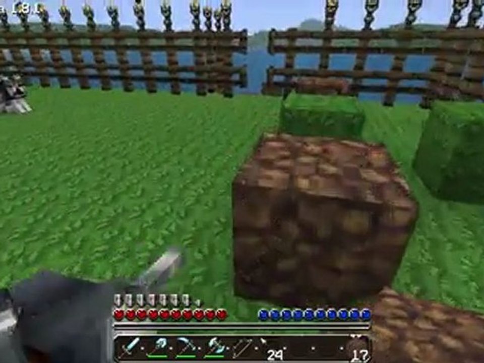 Visite de ma maison dans minecraft