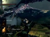 Guide FR HD Dark Souls partie 7