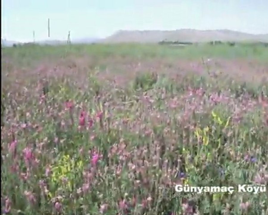 Hafik Günyamac Köyü Belgeseli. 1 Kısım