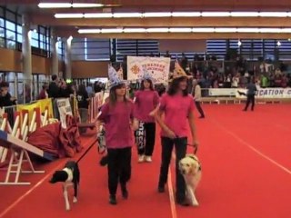 DEFILE CHAMPIONNAT FRANCE JUNIOR AGILITY
