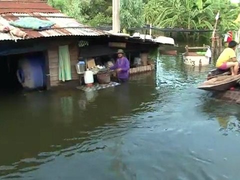 Inondations en Thailande : des crocodiles s'échappent d'une ferme