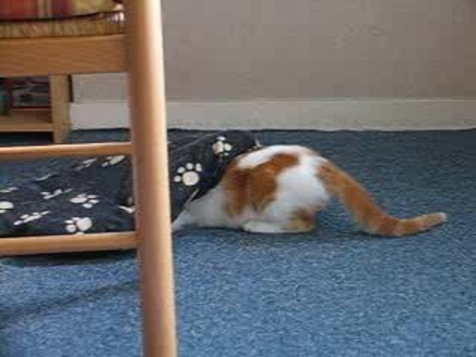 Sherlock et kaidan jeu