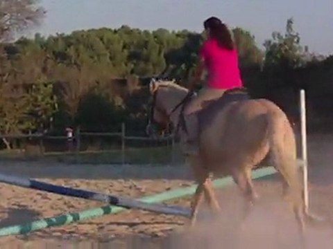 Nos premières barres